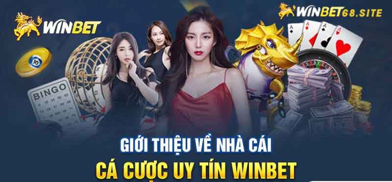 Ưu điểm khi thực hiện rút tiền tại nhà cái Winbet